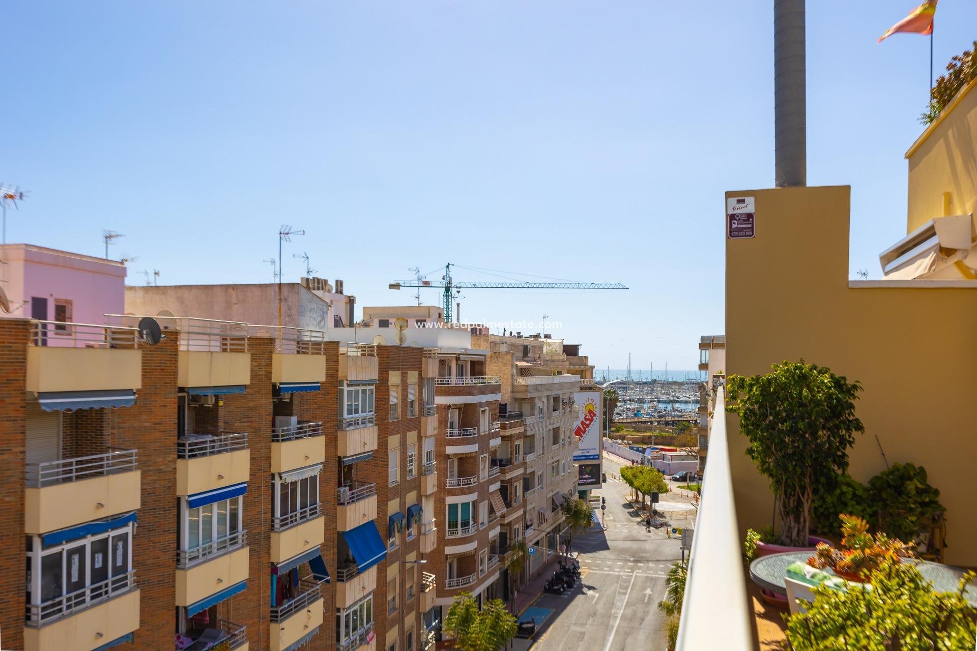 Återförsäljning - Lägenhet -
Torrevieja - Centro Torrevieja
