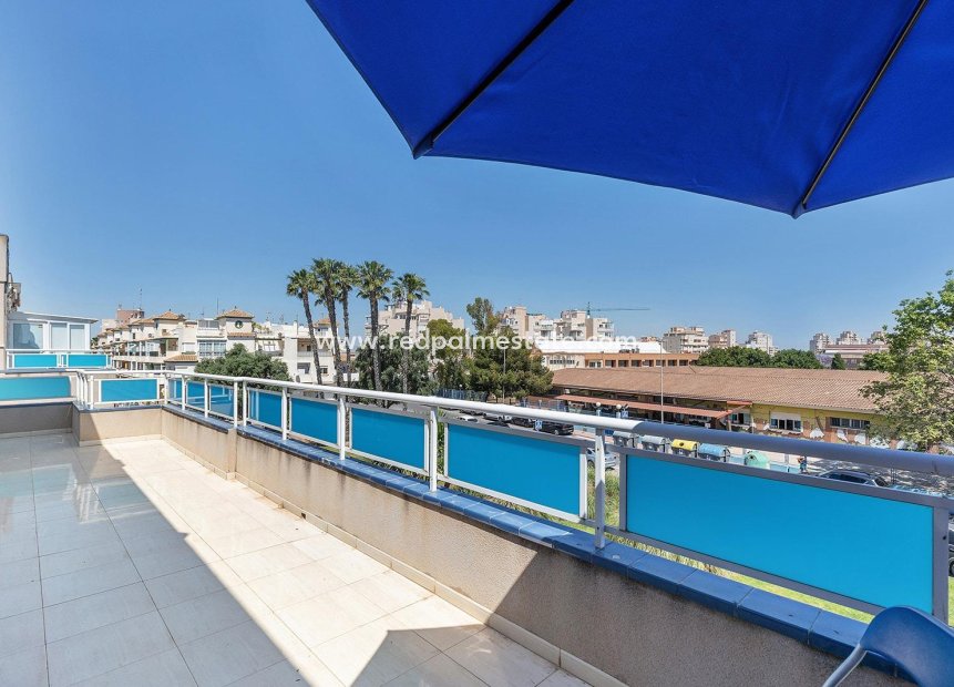 Återförsäljning - Lägenhet -
Torrevieja - Centro Torrevieja