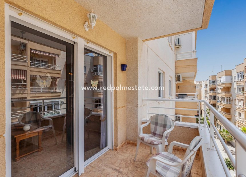 Återförsäljning - Lägenhet -
Torrevieja - Centro Torrevieja