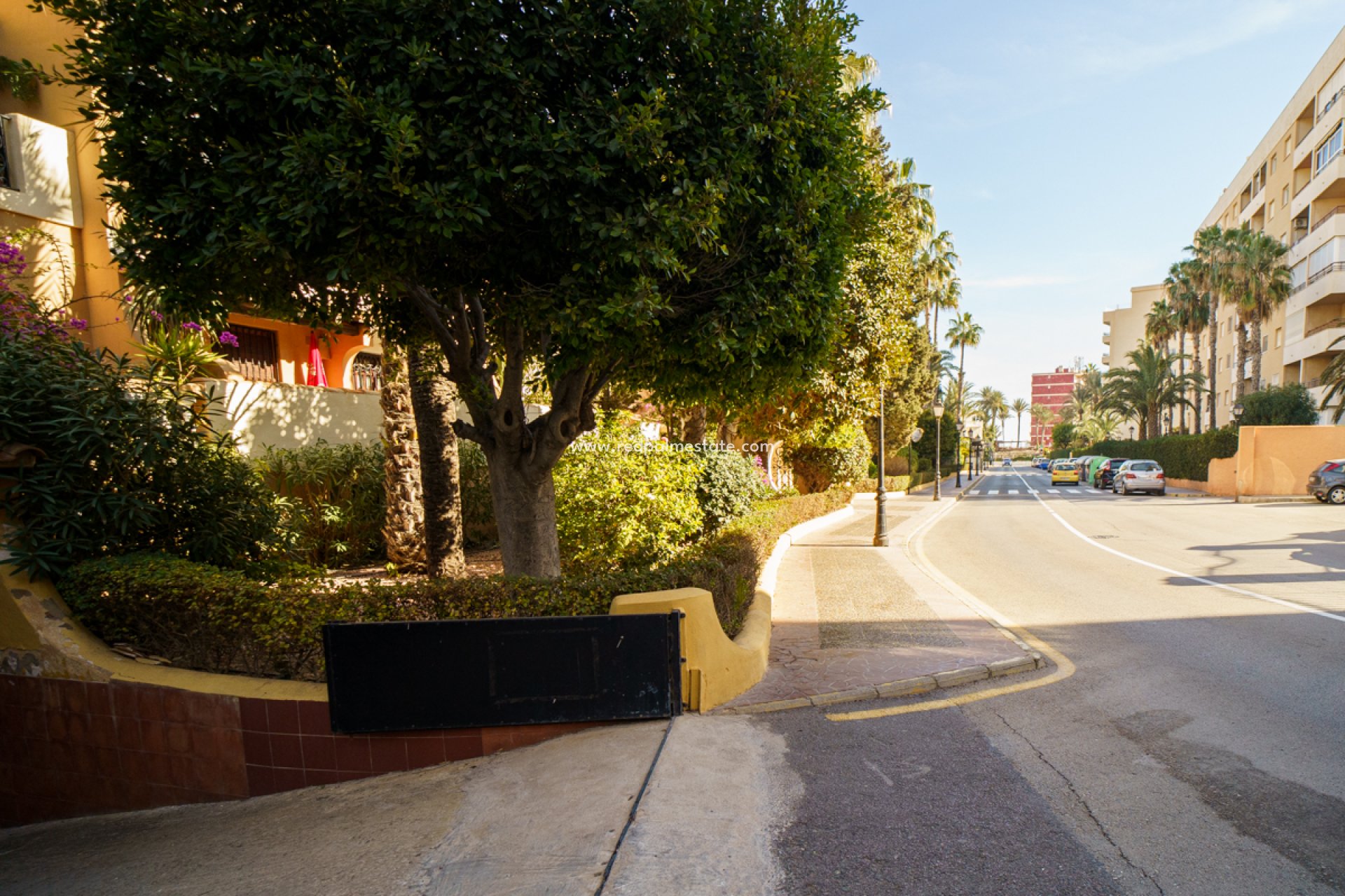 Återförsäljning - Lägenhet -
Torrevieja - Costa Blanca