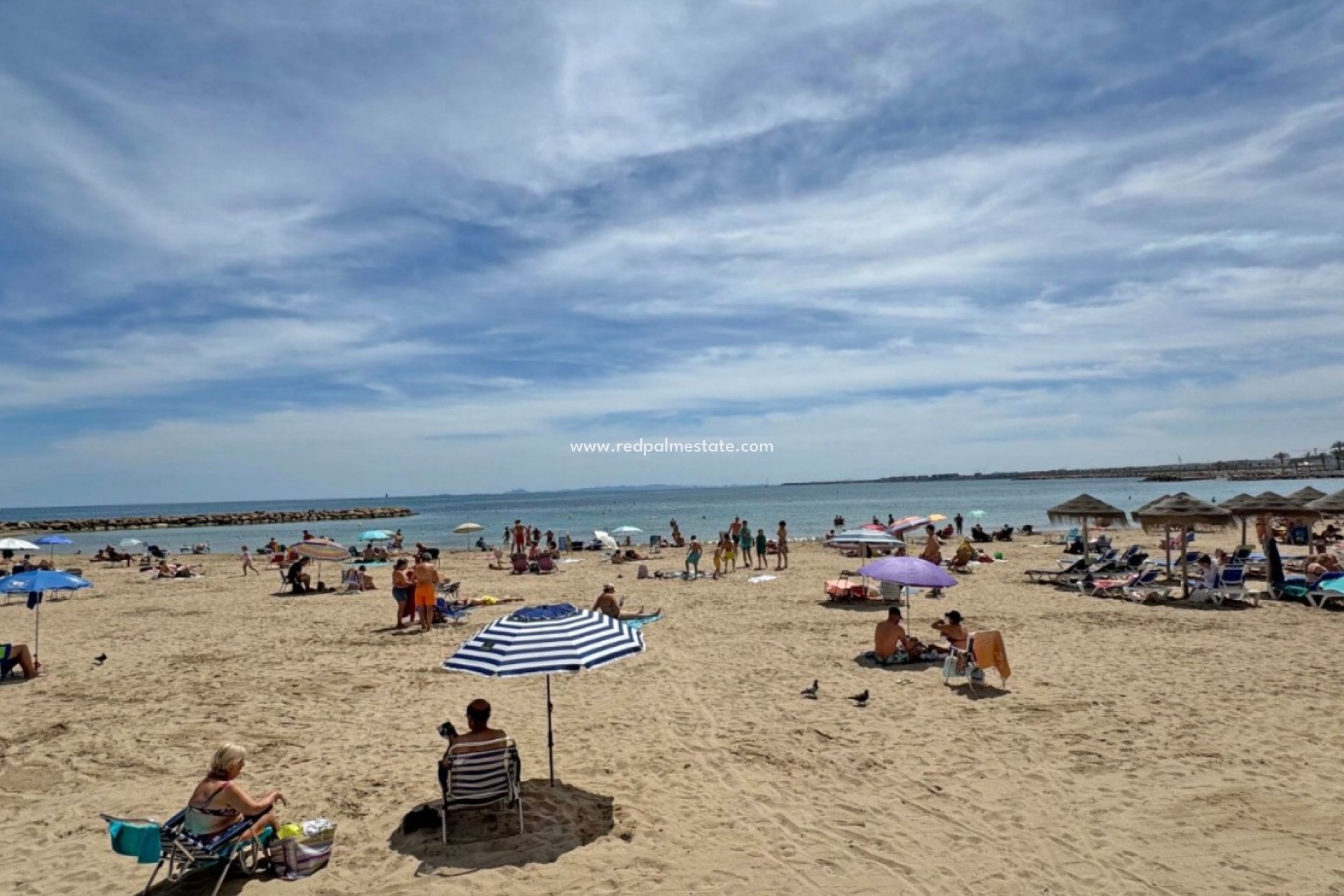 Återförsäljning - Lägenhet -
Torrevieja - Costa Blanca