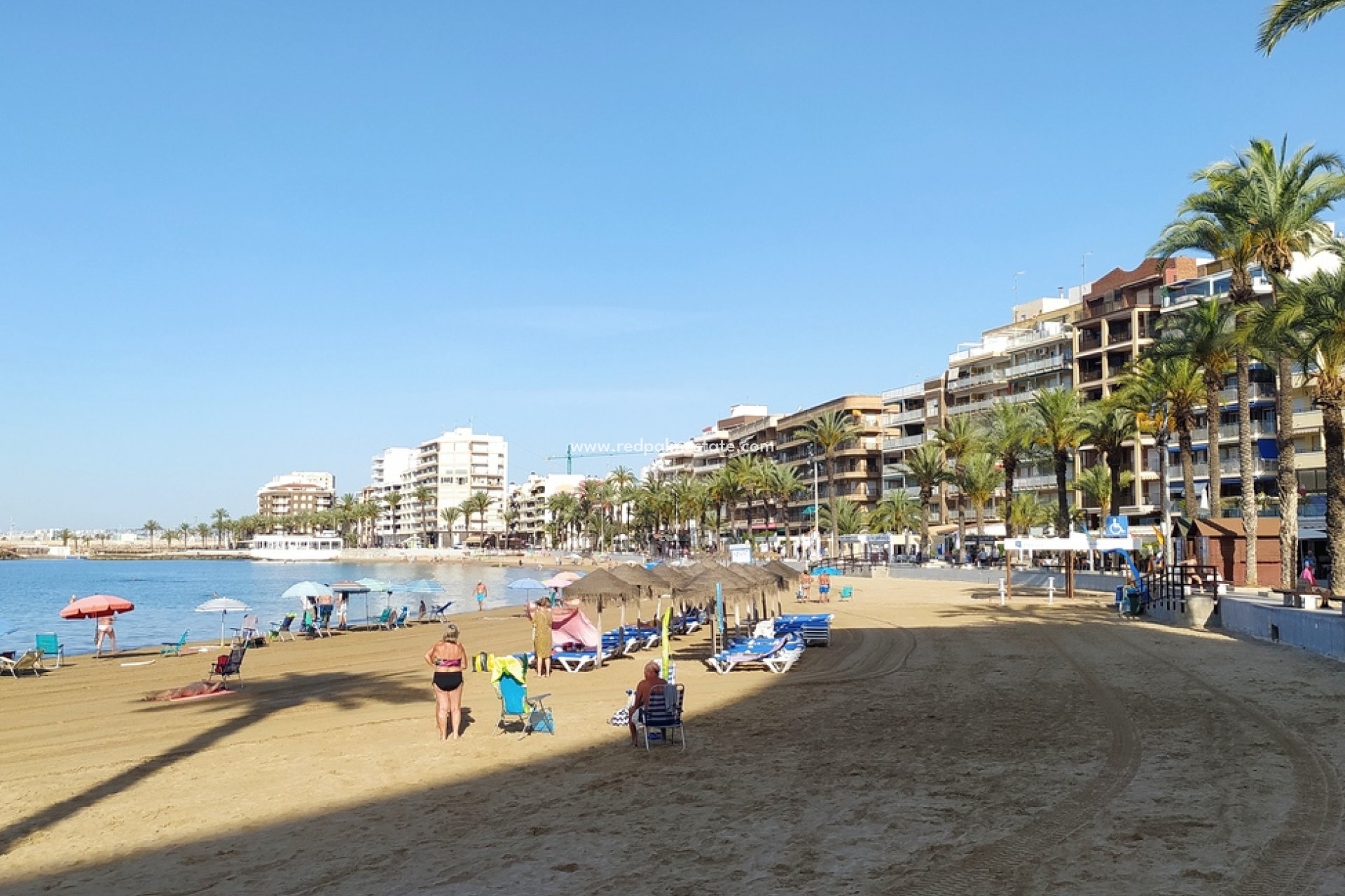 Återförsäljning - Lägenhet -
Torrevieja - DOWNTOWN