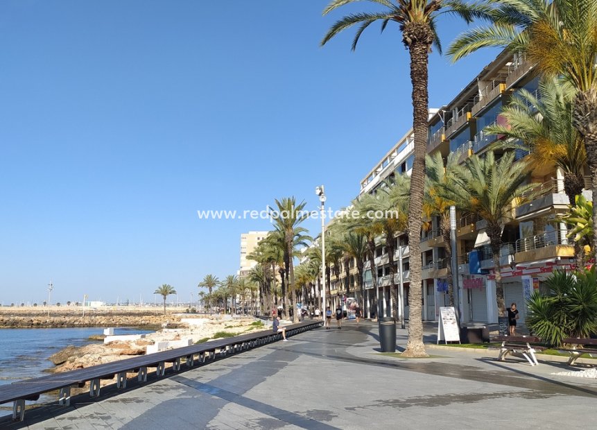 Återförsäljning - Lägenhet -
Torrevieja - DOWNTOWN