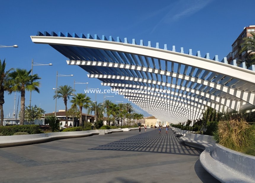 Återförsäljning - Lägenhet -
Torrevieja - DOWNTOWN