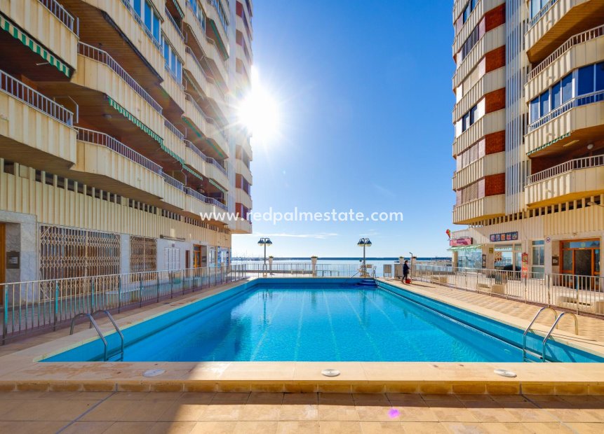 Återförsäljning - Lägenhet -
Torrevieja - El Acequión - Los Náufragos