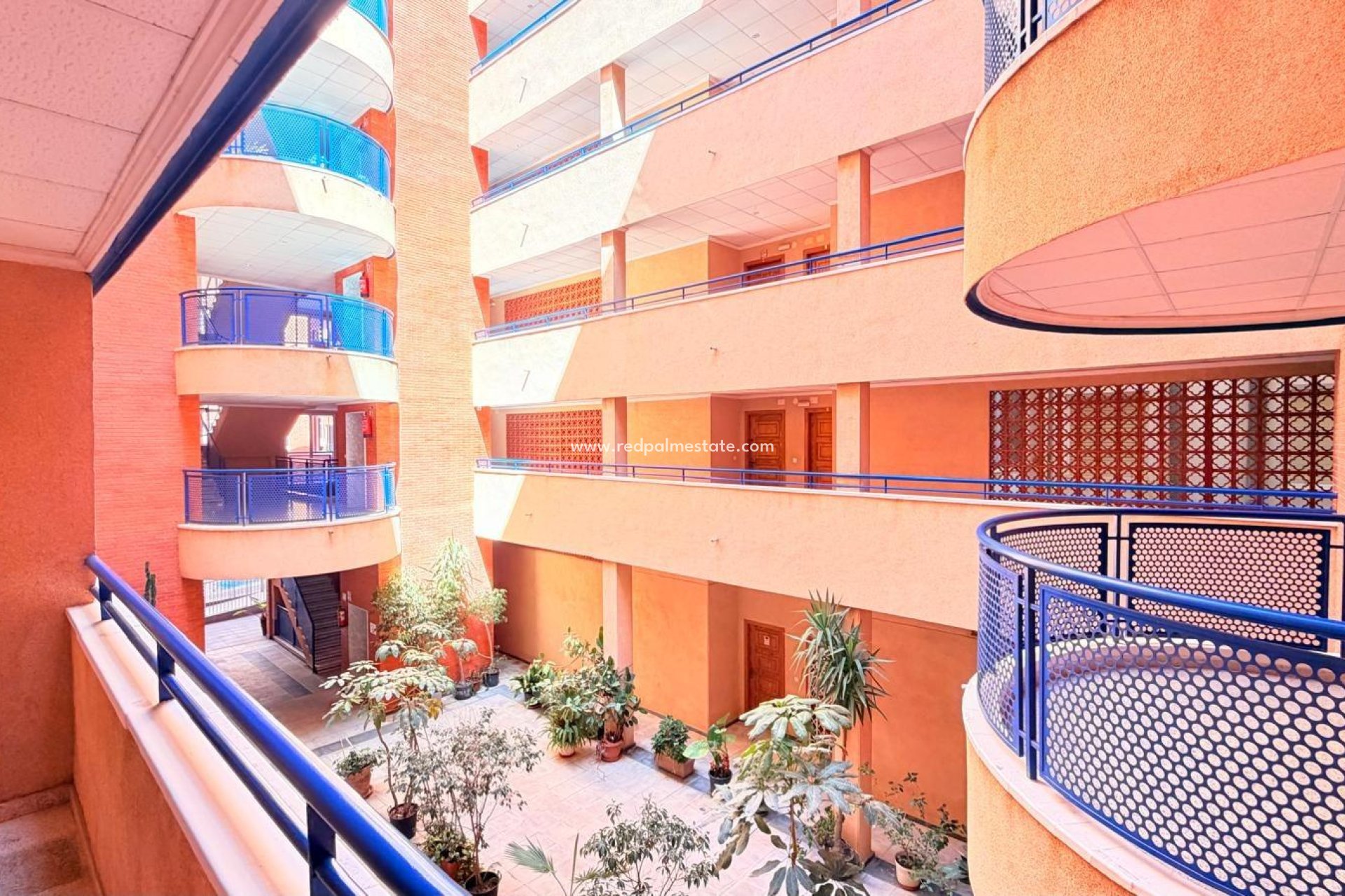 Återförsäljning - Lägenhet -
Torrevieja - El Acequión - Los Náufragos