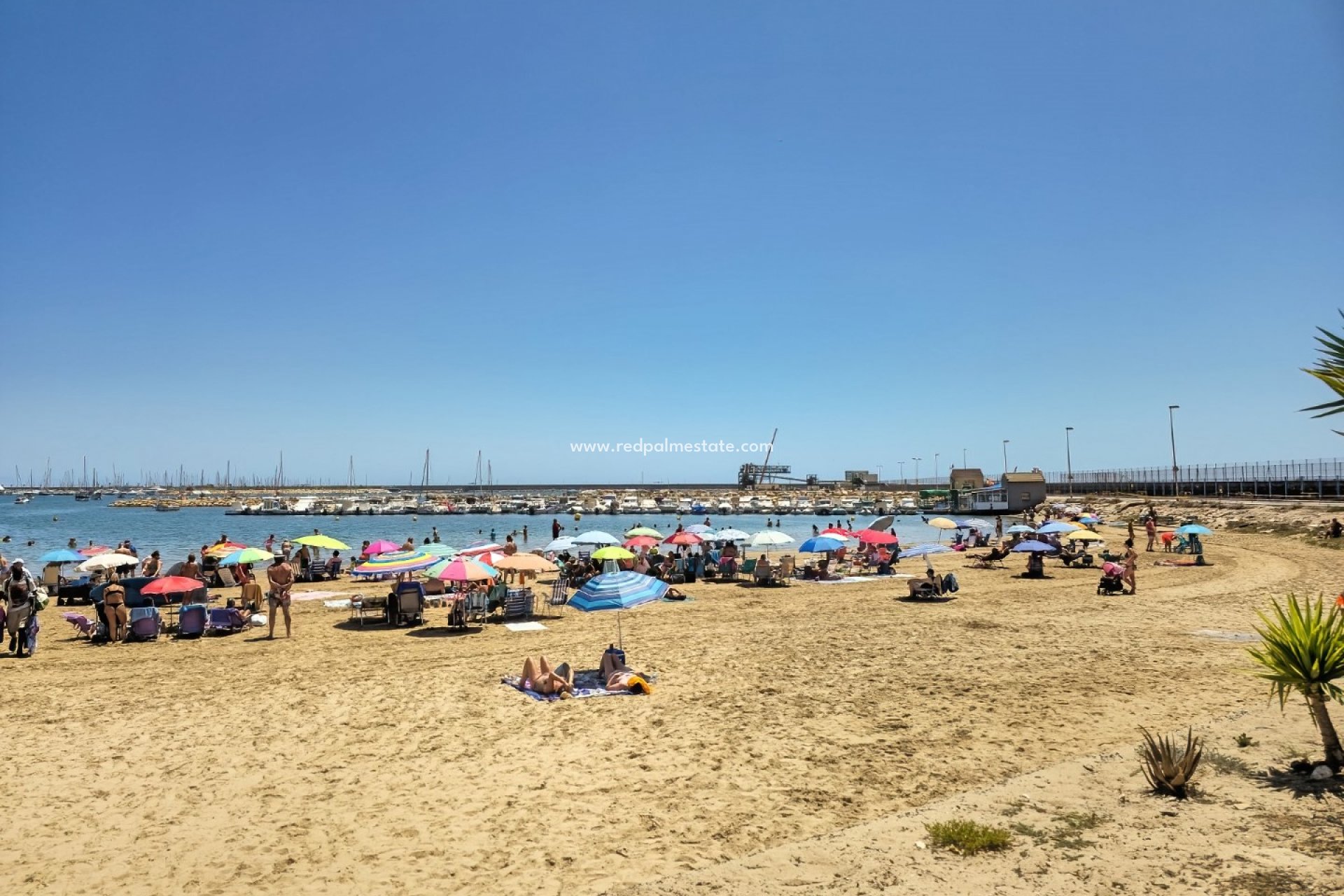 Återförsäljning - Lägenhet -
Torrevieja - El Acequión - Los Náufragos