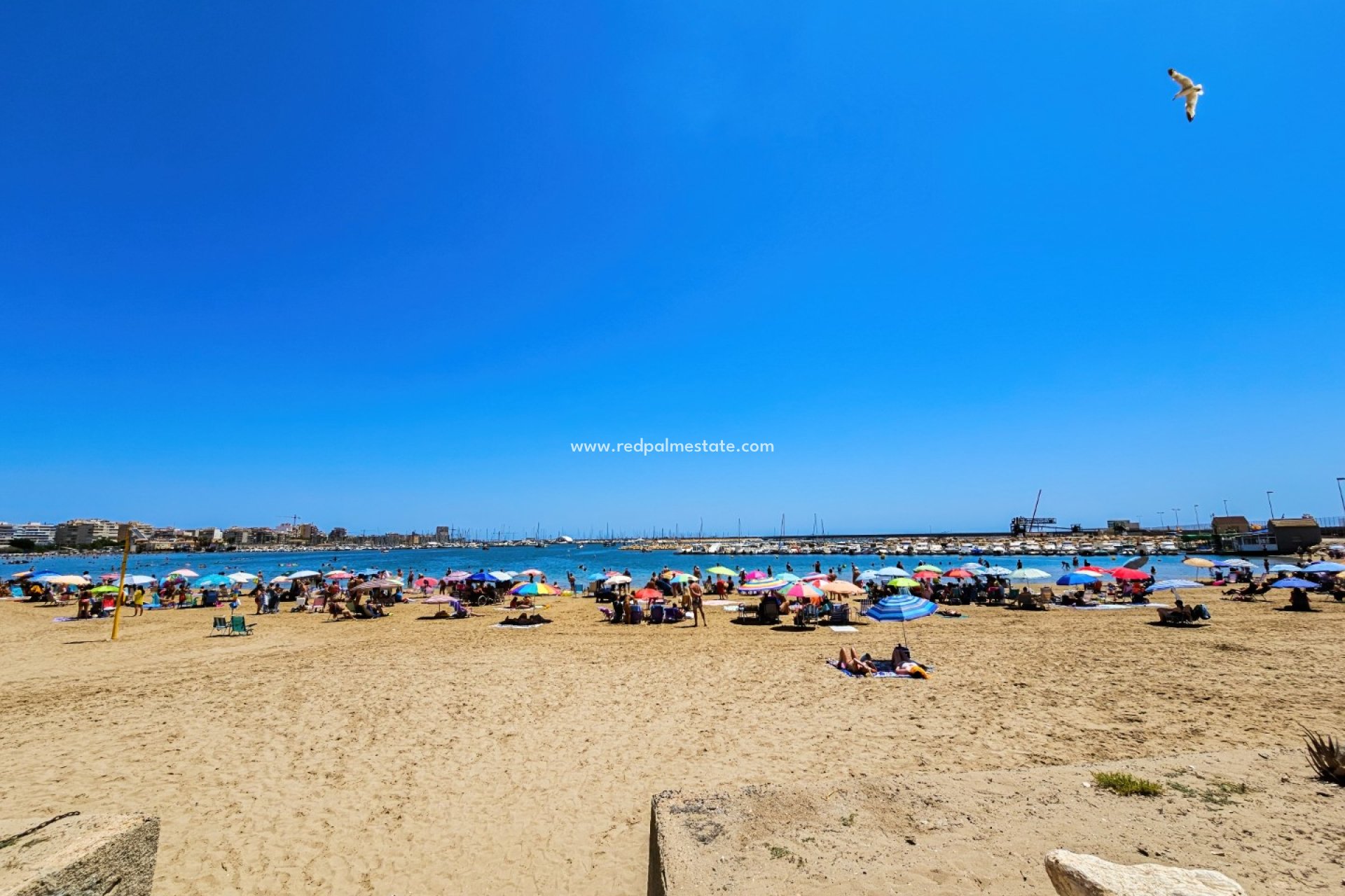 Återförsäljning - Lägenhet -
Torrevieja - El Acequión - Los Náufragos