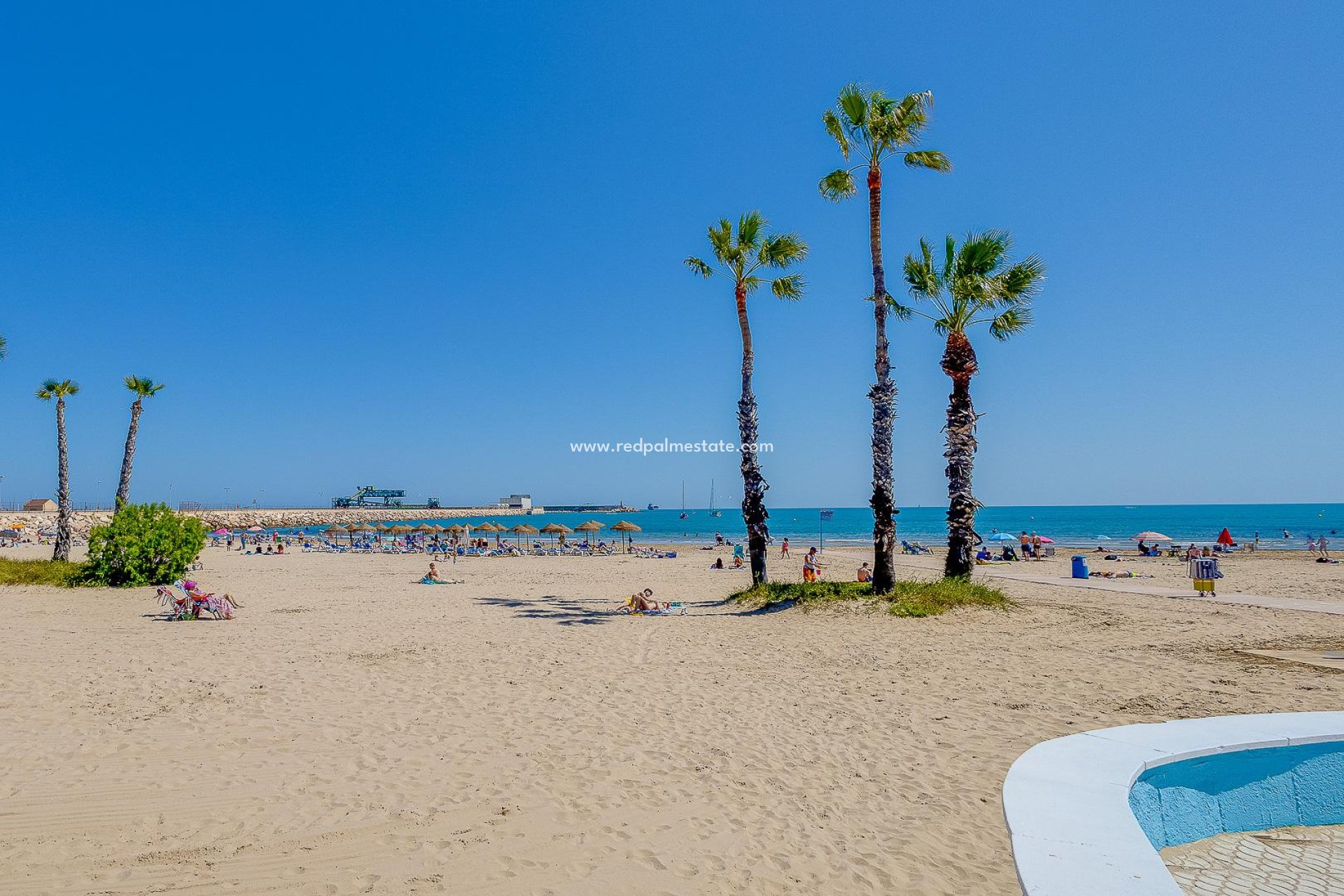 Återförsäljning - Lägenhet -
Torrevieja - El Acequión - Los Náufragos