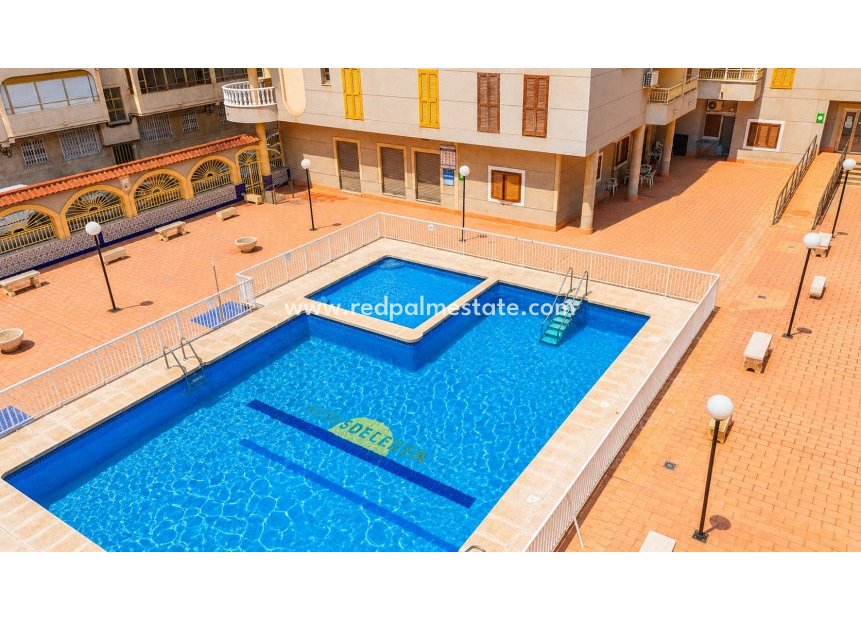 Återförsäljning - Lägenhet -
Torrevieja - El Acequión - Los Náufragos