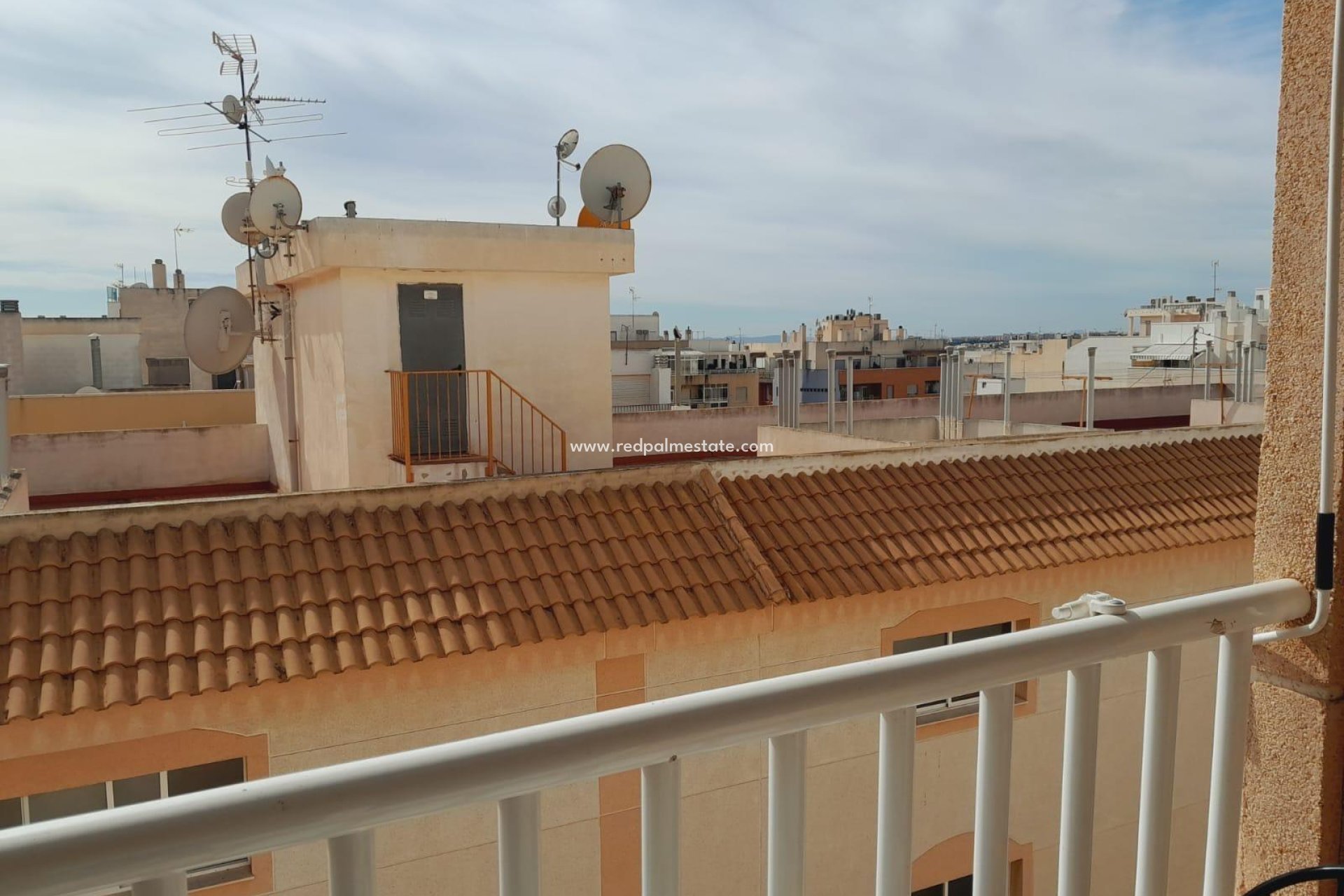 Återförsäljning - Lägenhet -
Torrevieja - El molino