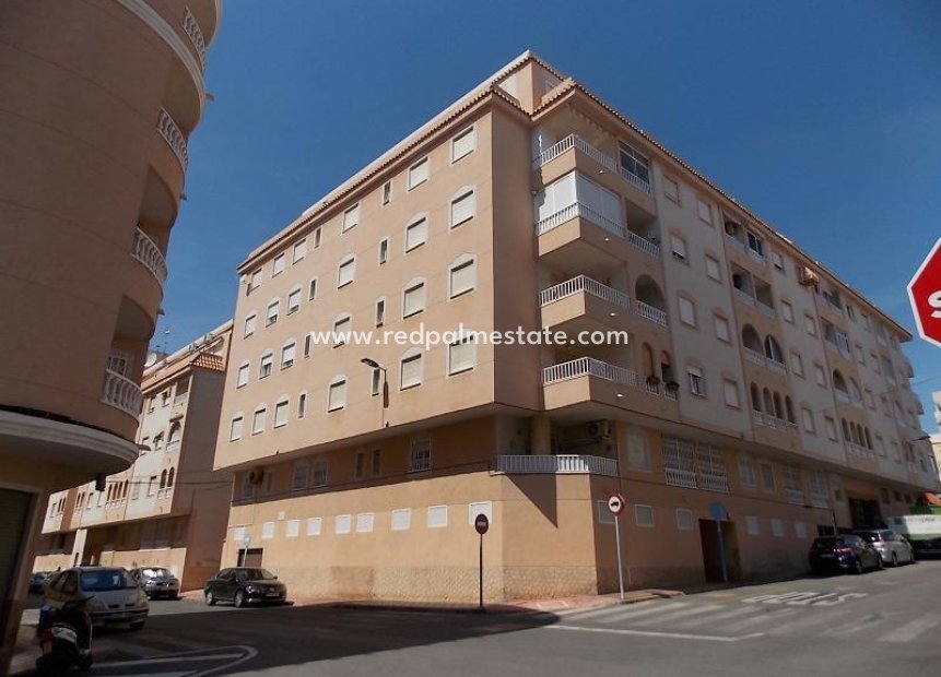 Återförsäljning - Lägenhet -
Torrevieja - El molino
