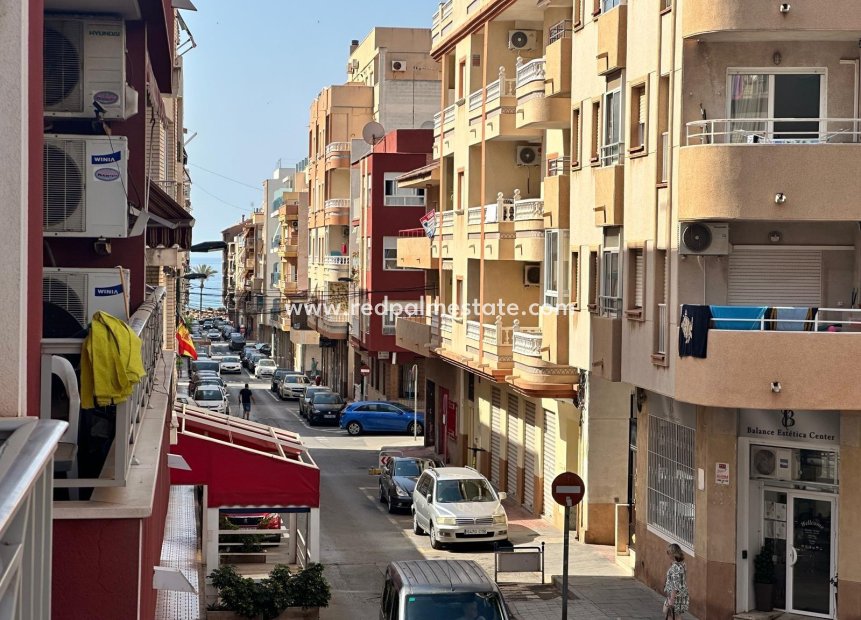 Återförsäljning - Lägenhet -
Torrevieja - Estacion de autobuses