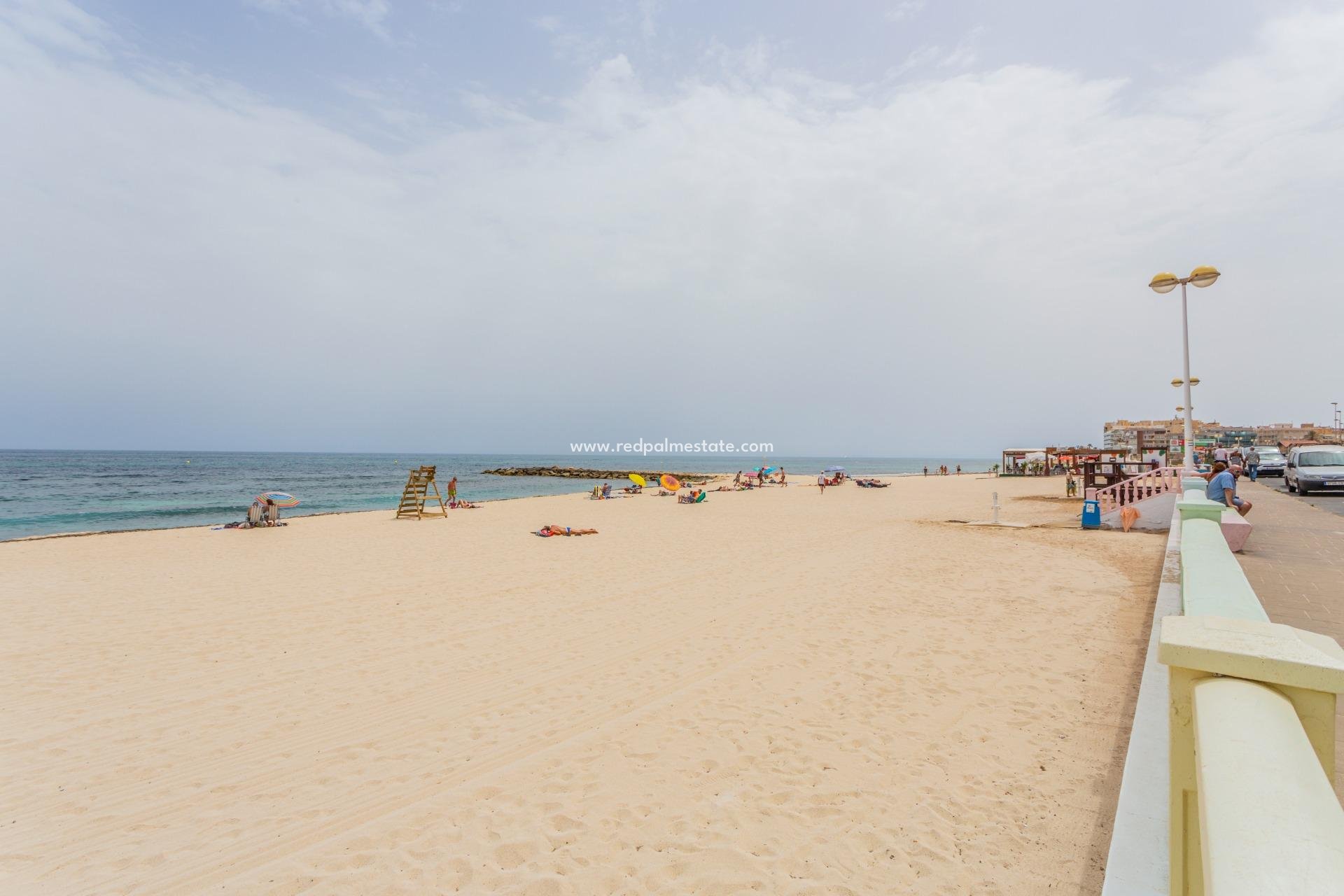 Återförsäljning - Lägenhet -
Torrevieja - Estacion de autobuses