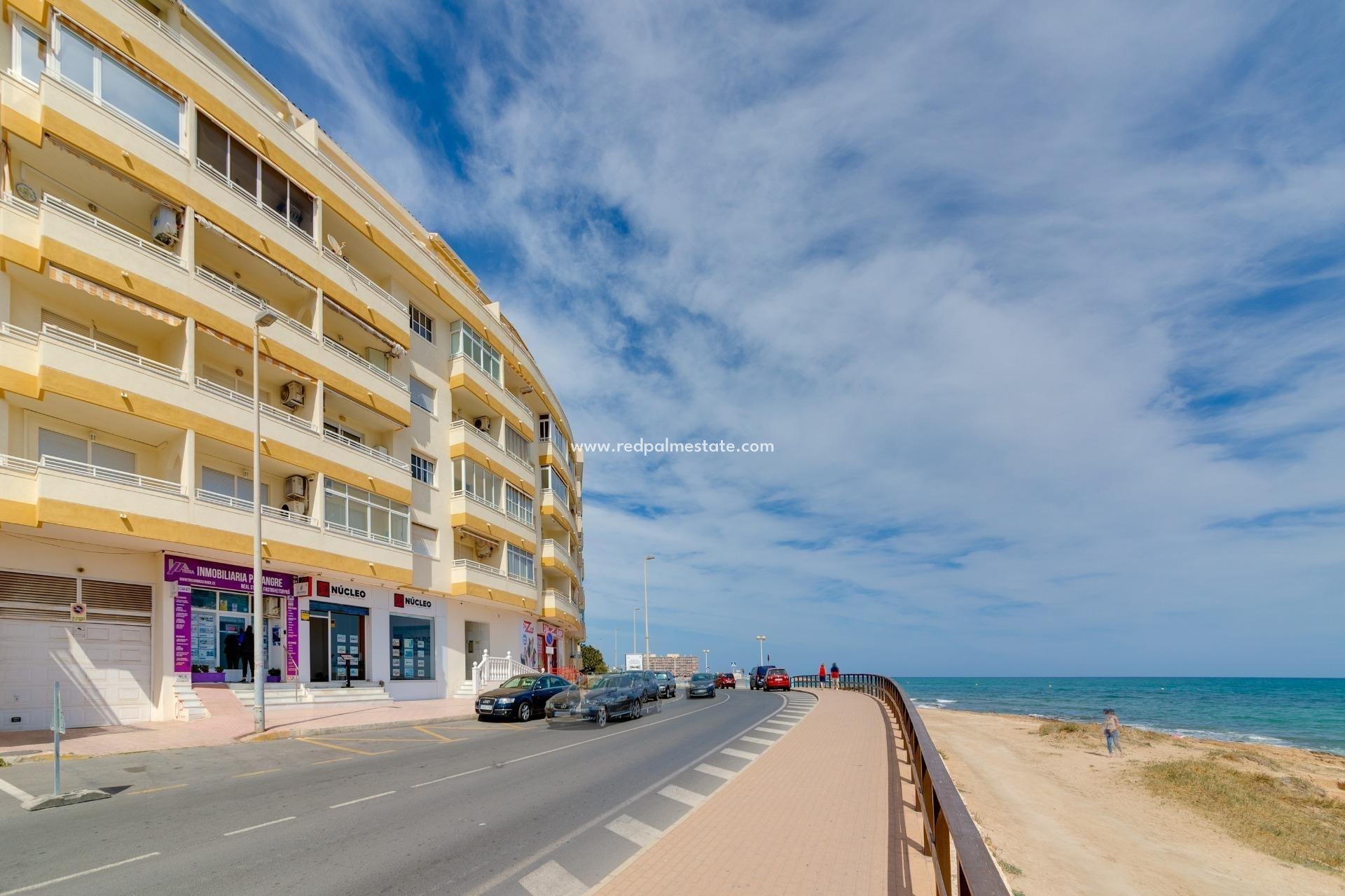 Återförsäljning - Lägenhet -
Torrevieja - Estacion de autobuses