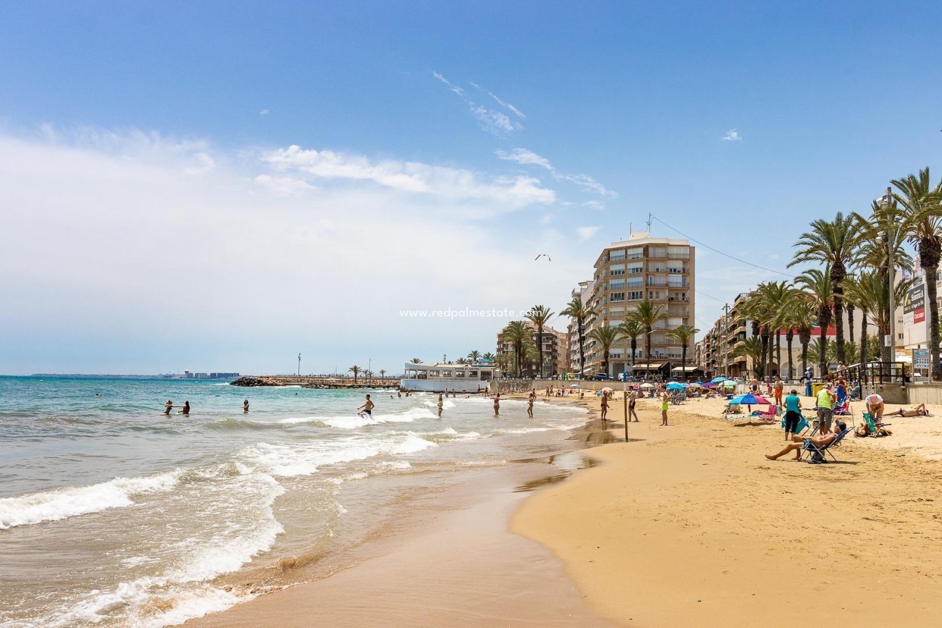 Återförsäljning - Lägenhet -
Torrevieja - Estacion de autobuses