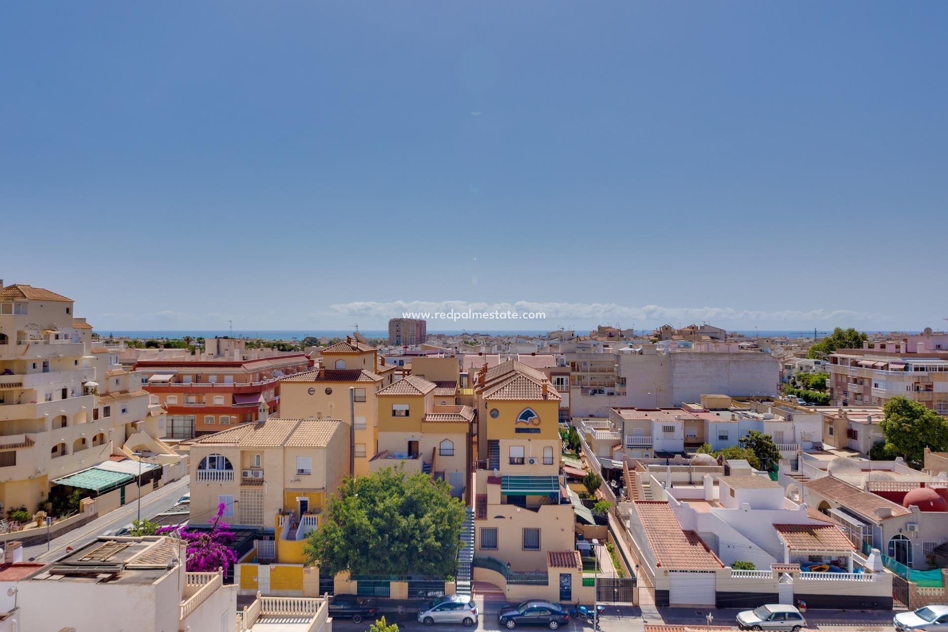 Återförsäljning - Lägenhet -
Torrevieja - Estacion de autobuses