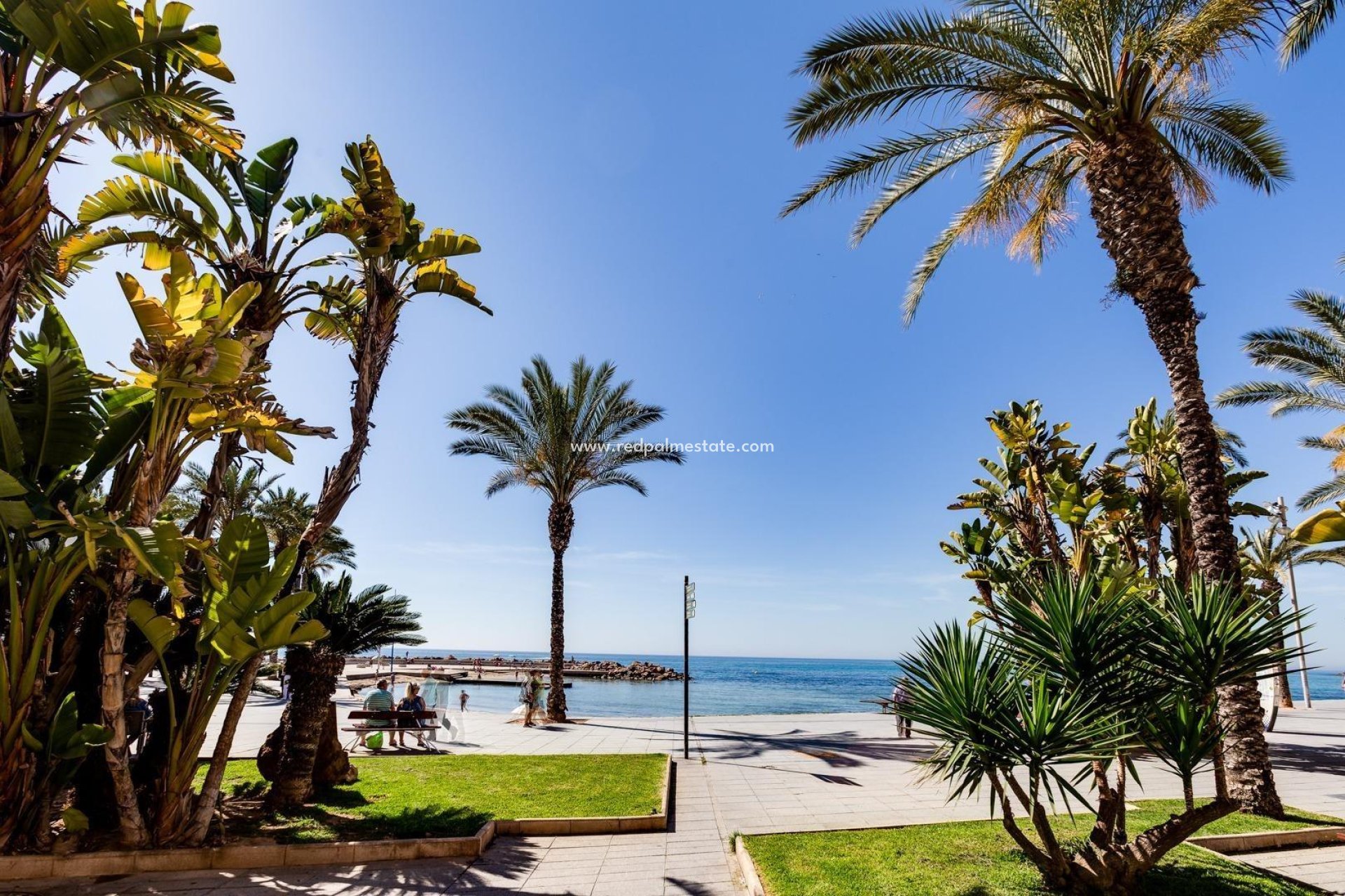 Återförsäljning - Lägenhet -
Torrevieja - Estacion de autobuses