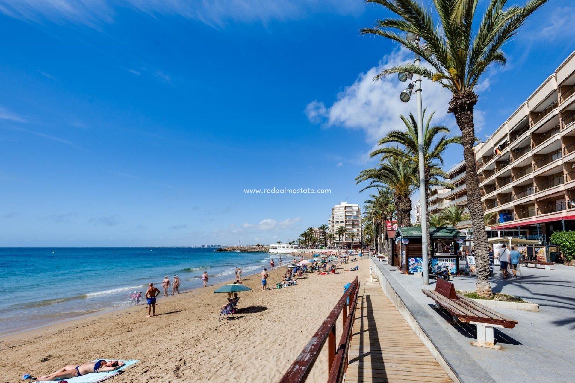 Återförsäljning - Lägenhet -
Torrevieja - Estacion de autobuses