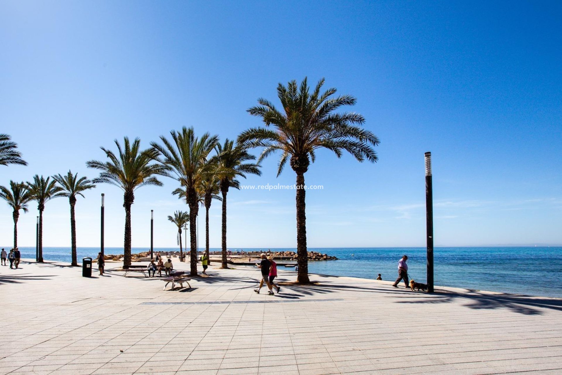 Återförsäljning - Lägenhet -
Torrevieja - Estacion de autobuses