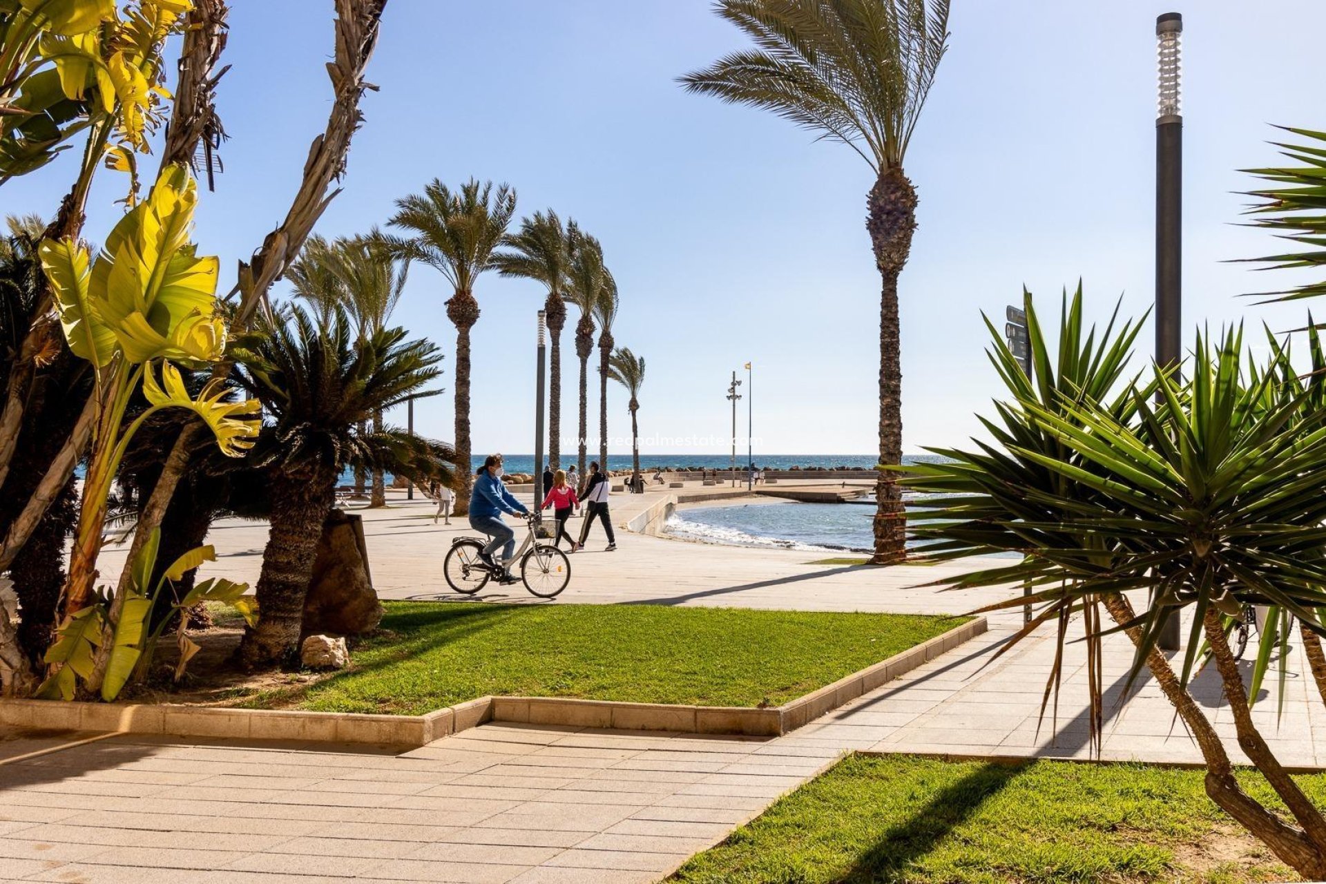 Återförsäljning - Lägenhet -
Torrevieja - Estacion de autobuses