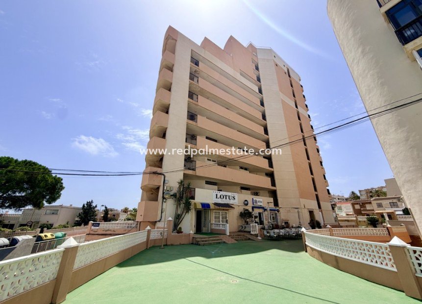 Återförsäljning - Lägenhet -
Torrevieja - La Mata