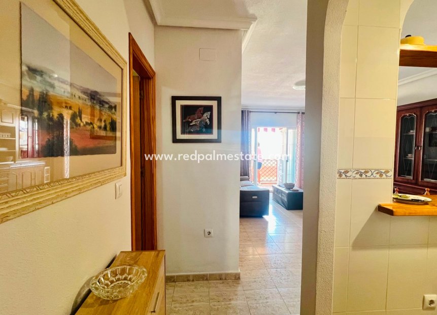 Återförsäljning - Lägenhet -
Torrevieja - La Mata