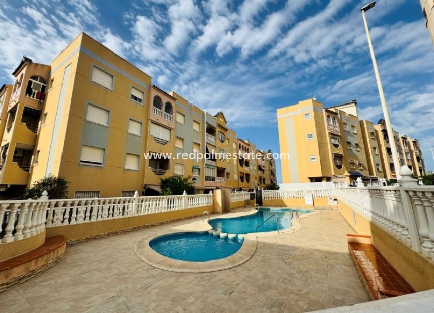 Återförsäljning - Lägenhet -
Torrevieja - La Mata