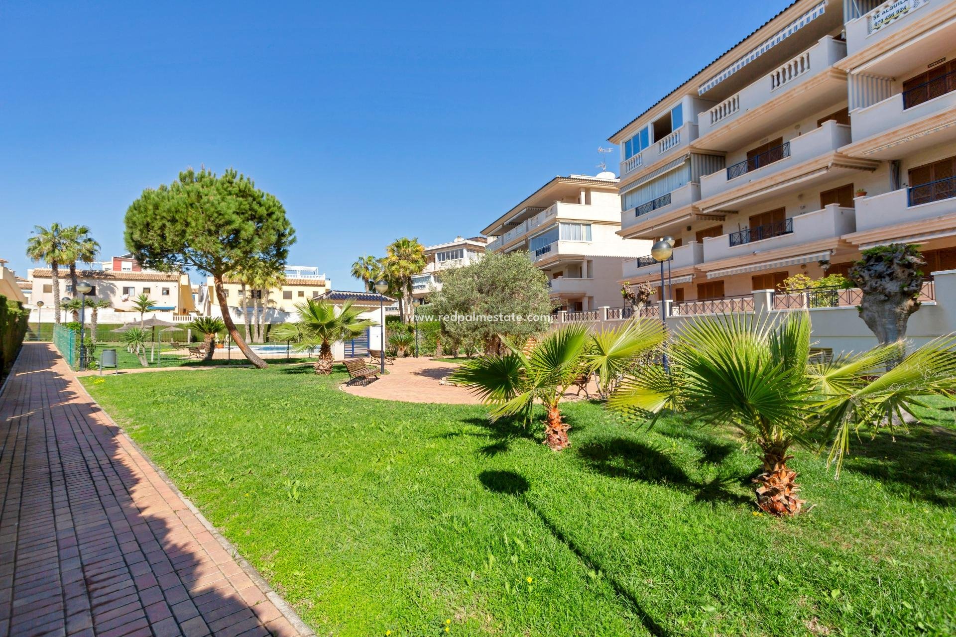 Återförsäljning - Lägenhet -
Torrevieja - La Mata