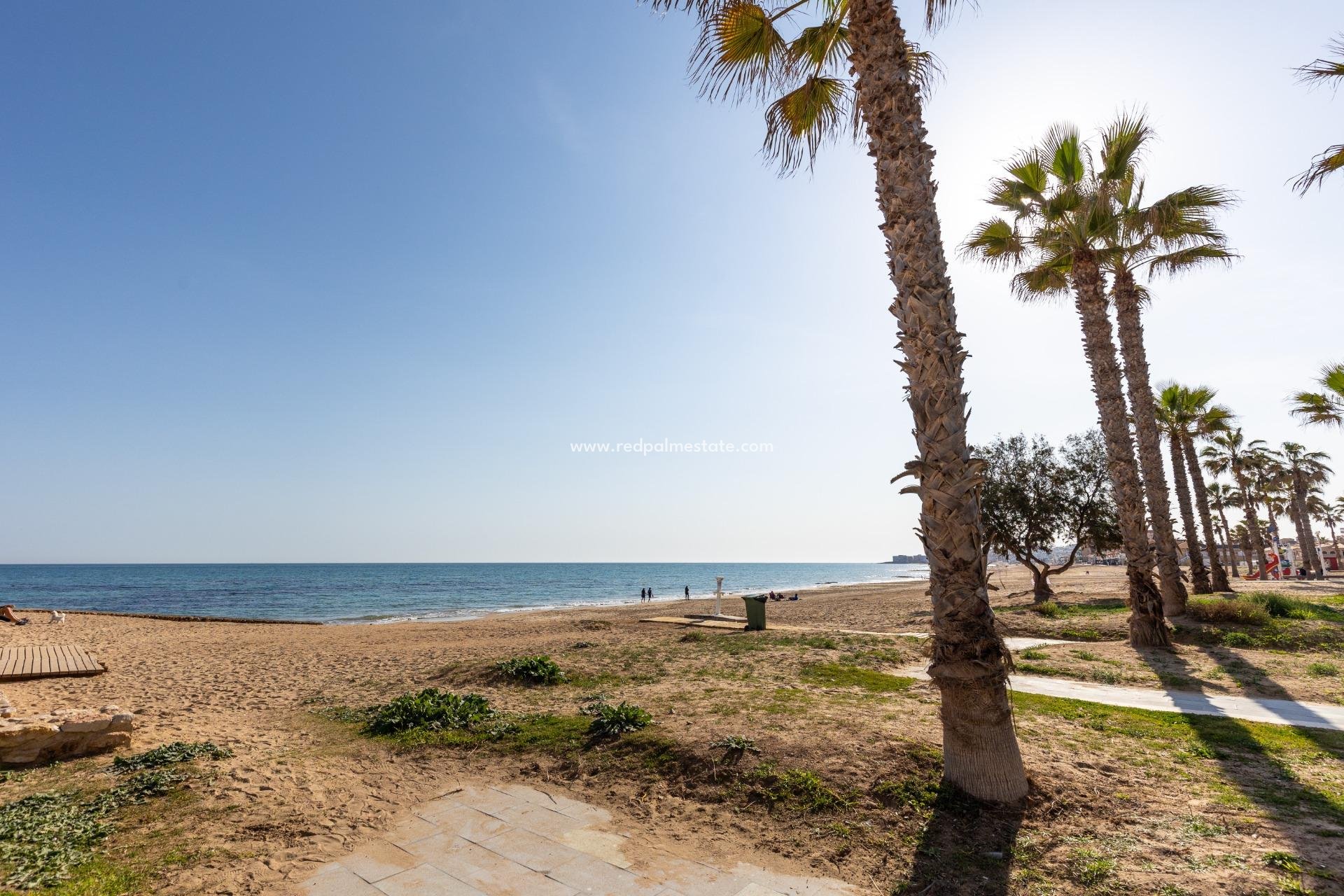 Återförsäljning - Lägenhet -
Torrevieja - La Mata