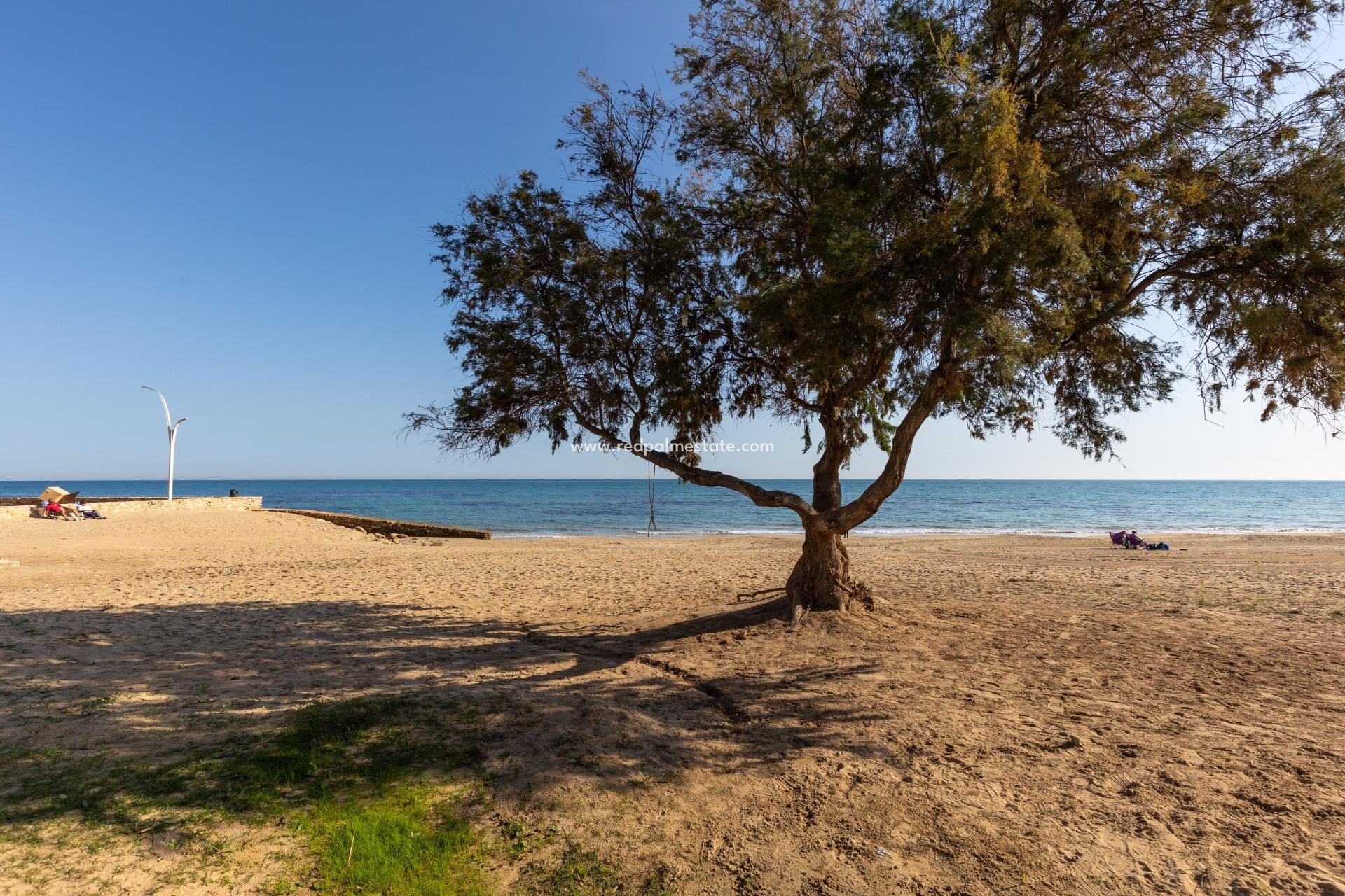 Återförsäljning - Lägenhet -
Torrevieja - La Mata