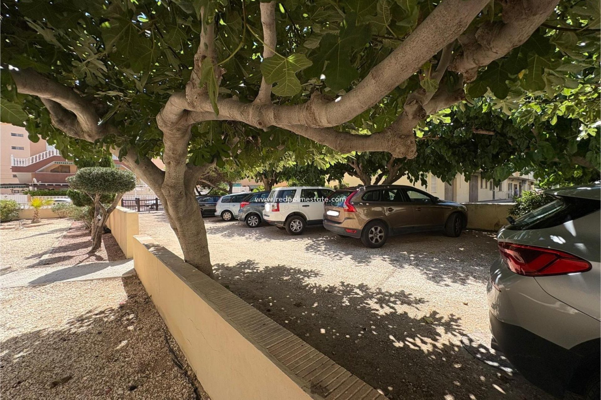 Återförsäljning - Lägenhet -
Torrevieja - La Mata