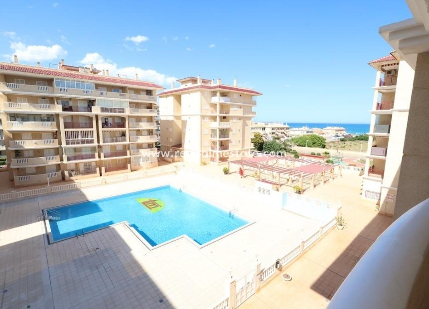 Återförsäljning - Lägenhet -
Torrevieja - La Mata