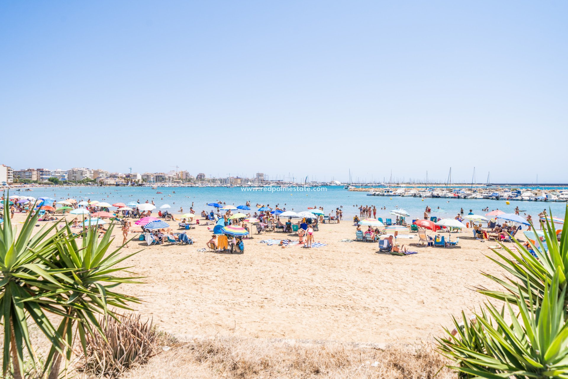 Återförsäljning - Lägenhet -
Torrevieja - La Veleta