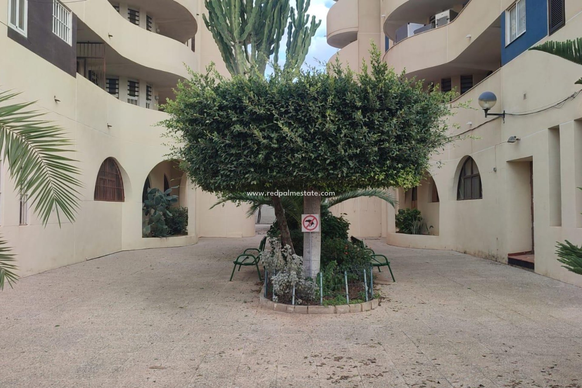 Återförsäljning - Lägenhet -
Torrevieja - La Veleta