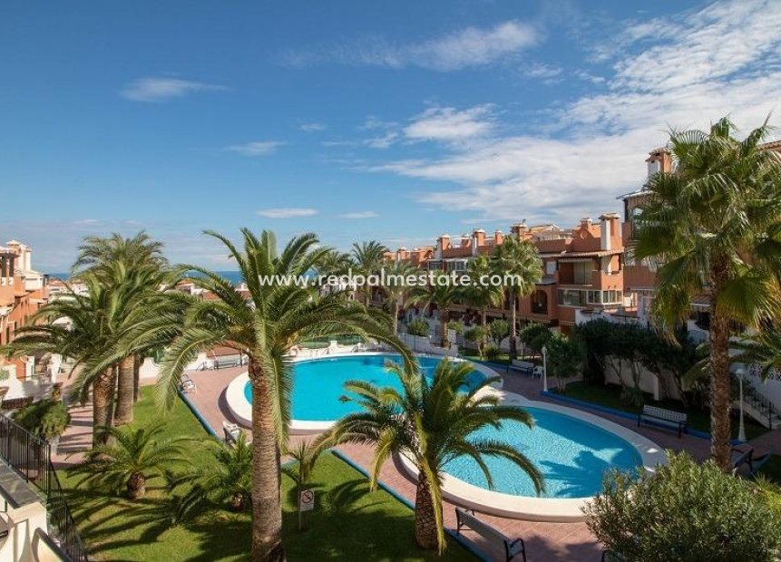 Återförsäljning - Lägenhet -
Torrevieja - La Veleta