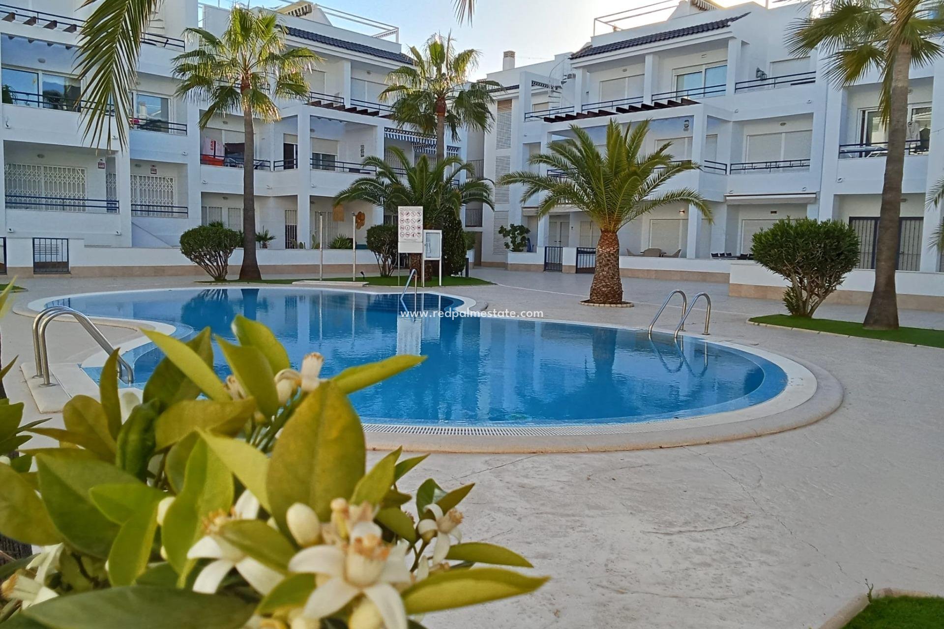 Återförsäljning - Lägenhet -
Torrevieja - La Veleta