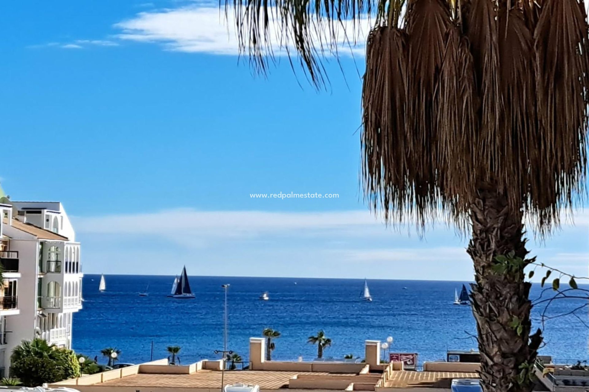 Återförsäljning - Lägenhet -
Torrevieja - La Veleta