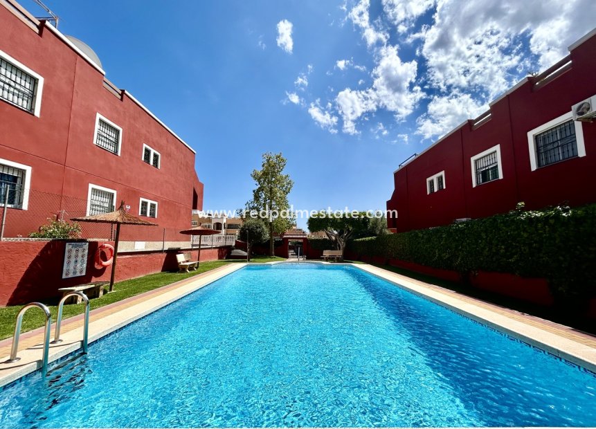 Återförsäljning - Lägenhet -
Torrevieja - Los Altos