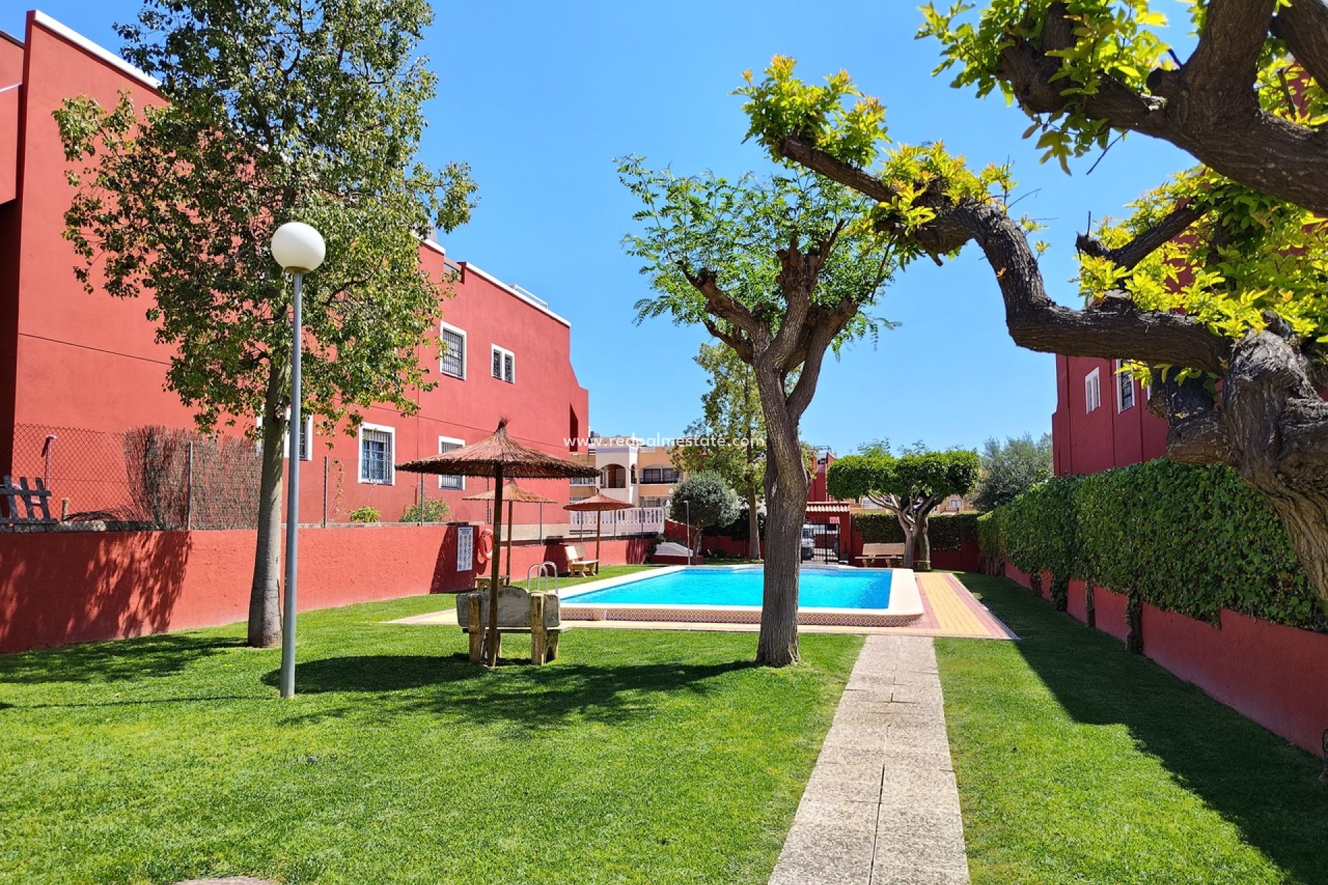 Återförsäljning - Lägenhet -
Torrevieja - Los Altos