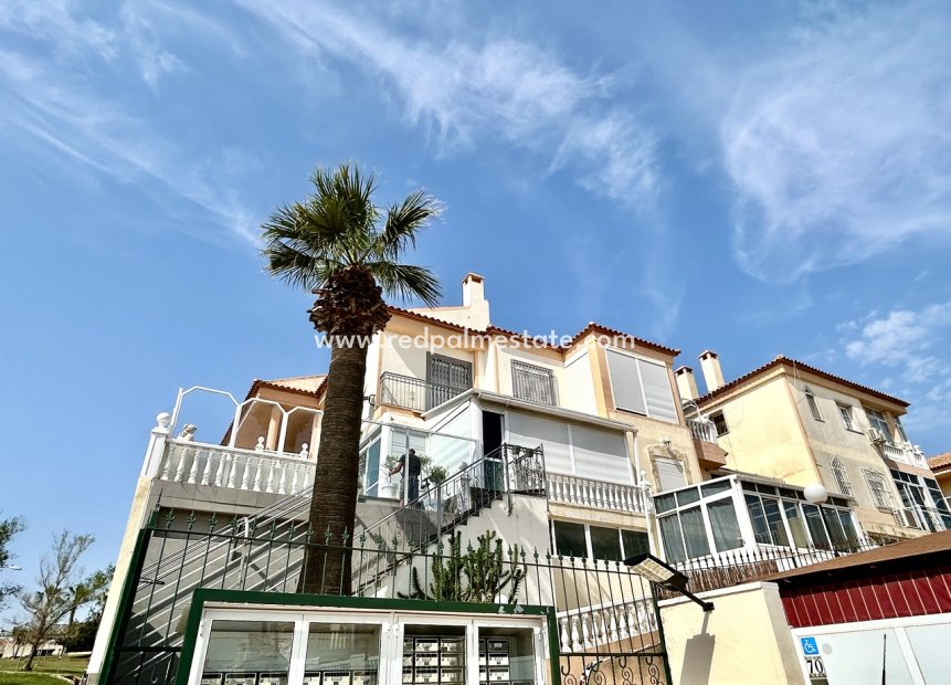 Återförsäljning - Lägenhet -
Torrevieja - Los Altos