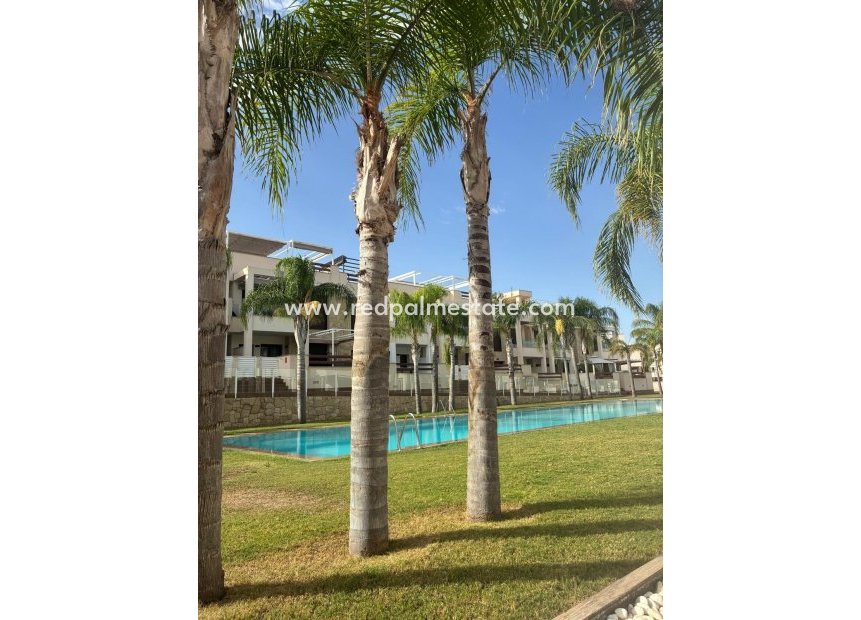 Återförsäljning - Lägenhet -
Torrevieja - Los balcones
