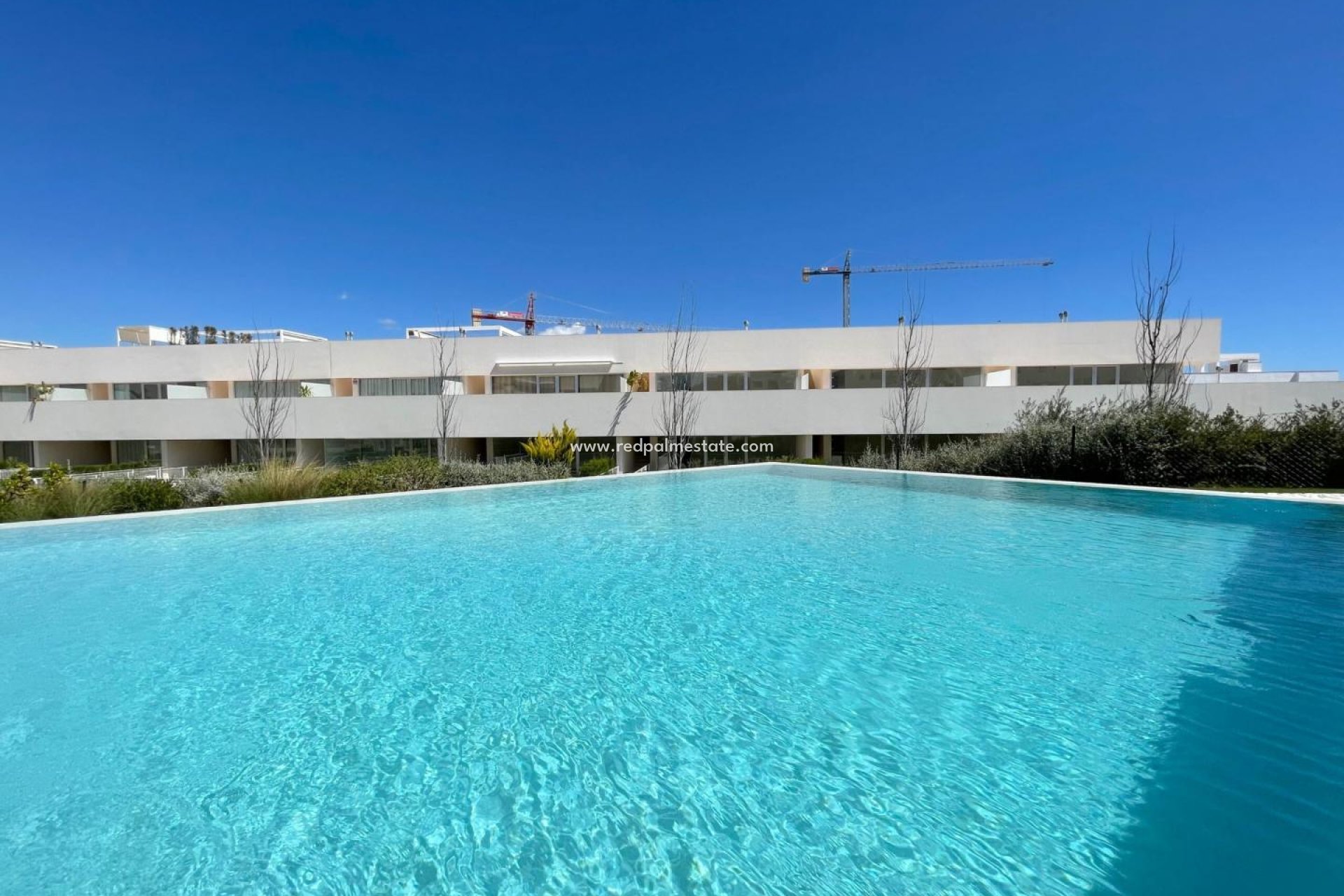 Återförsäljning - Lägenhet -
Torrevieja - Los Balcones