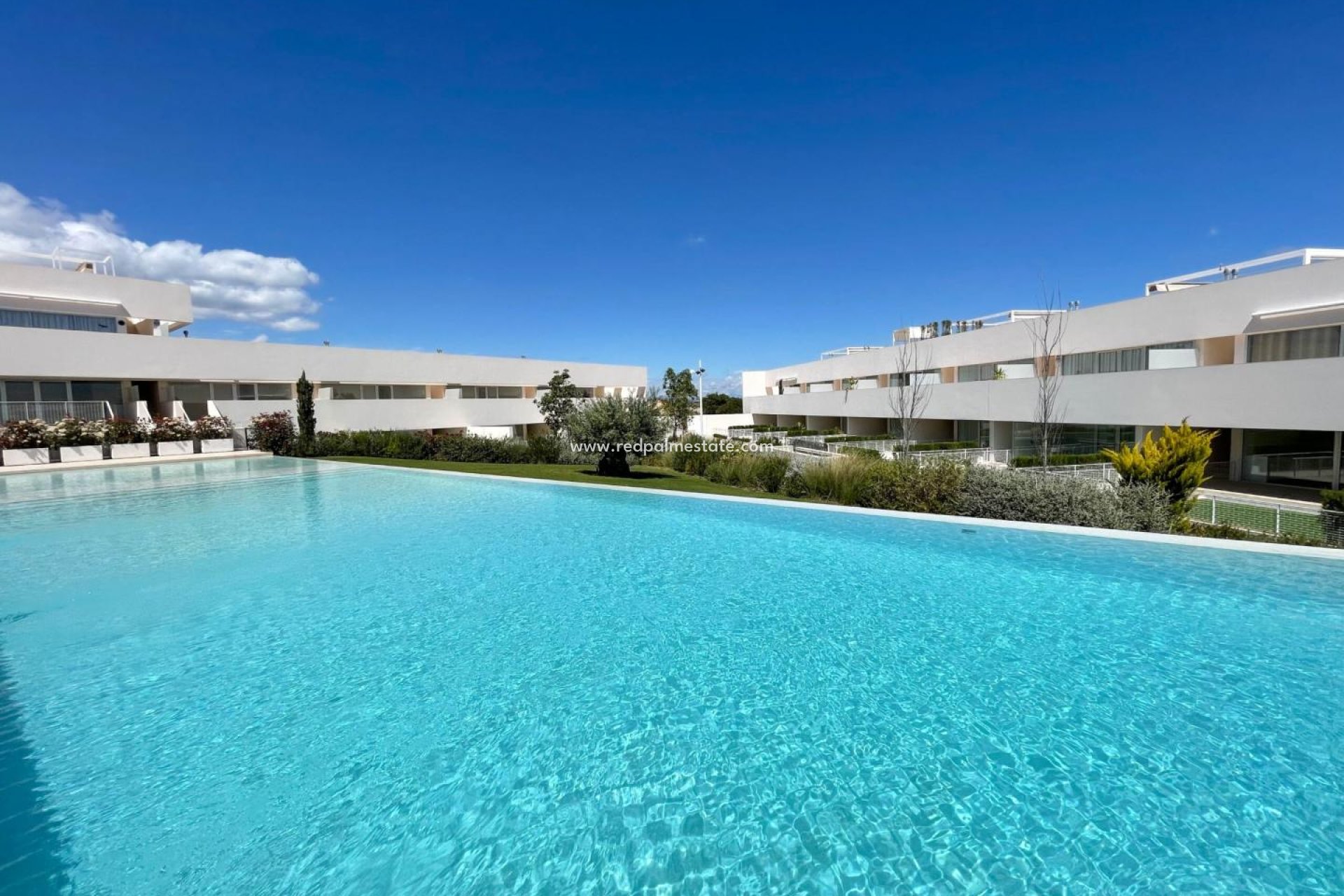 Återförsäljning - Lägenhet -
Torrevieja - Los Balcones