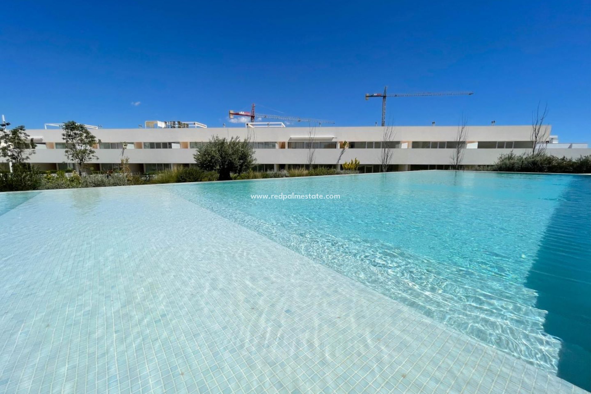 Återförsäljning - Lägenhet -
Torrevieja - Los Balcones