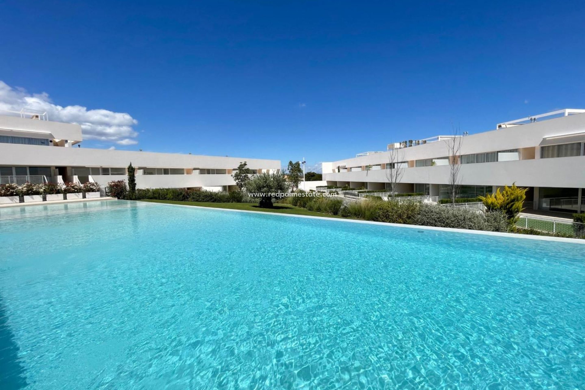 Återförsäljning - Lägenhet -
Torrevieja - Los Balcones