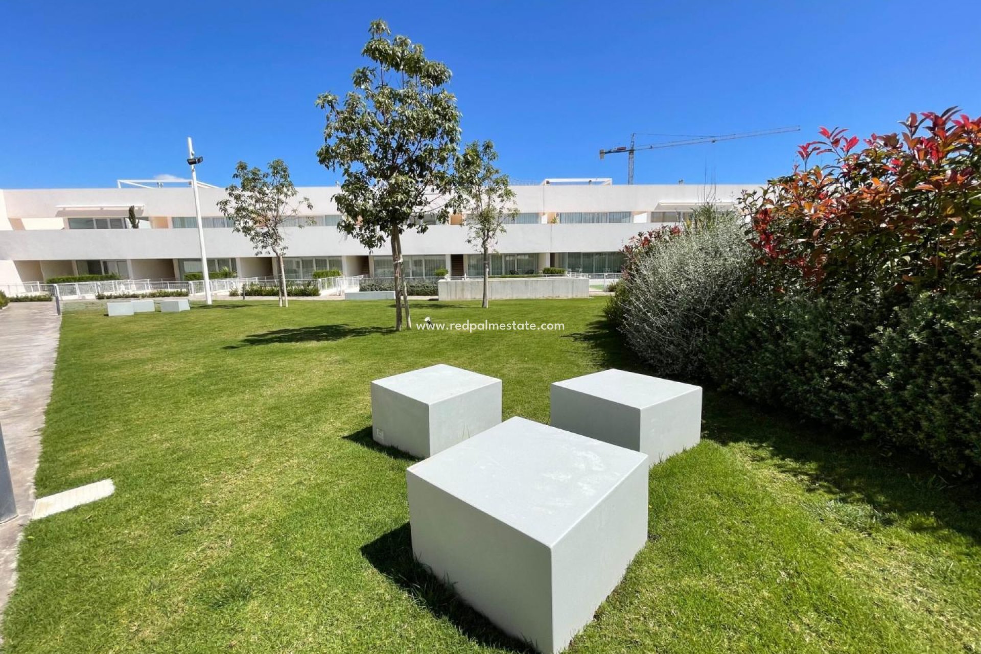 Återförsäljning - Lägenhet -
Torrevieja - Los Balcones