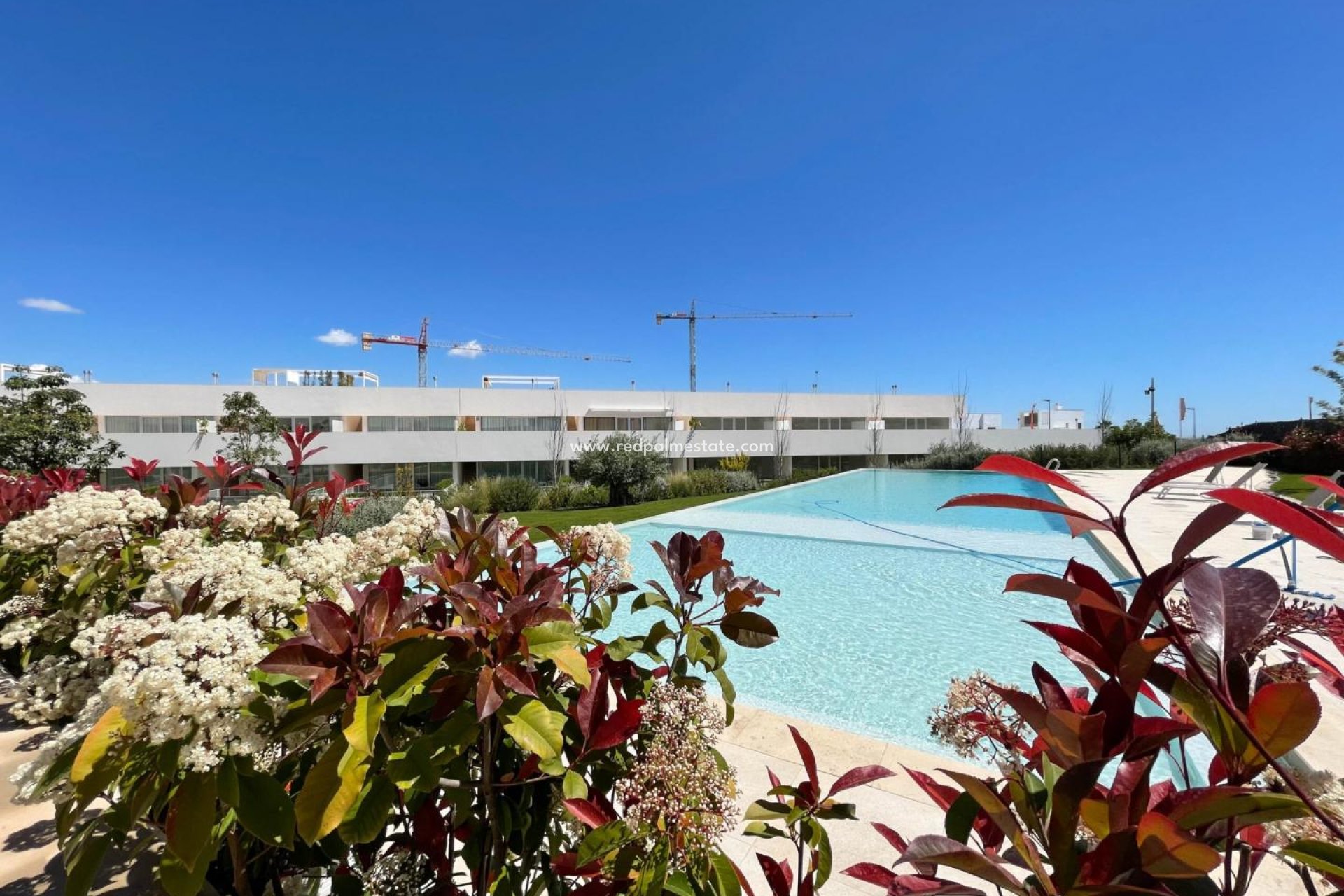 Återförsäljning - Lägenhet -
Torrevieja - Los Balcones