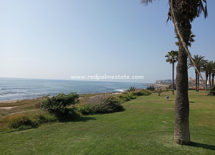 Återförsäljning - Lägenhet -
Torrevieja - MAR AZUL LA VELETA