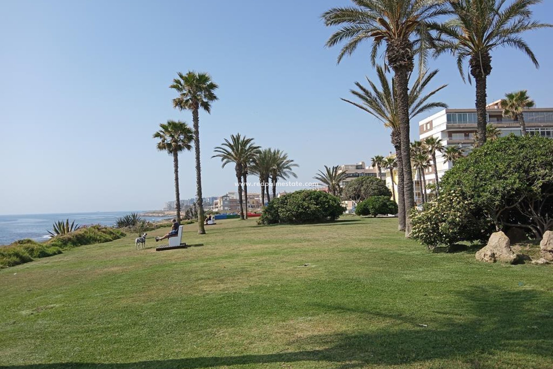 Återförsäljning - Lägenhet -
Torrevieja - MAR AZUL LA VELETA